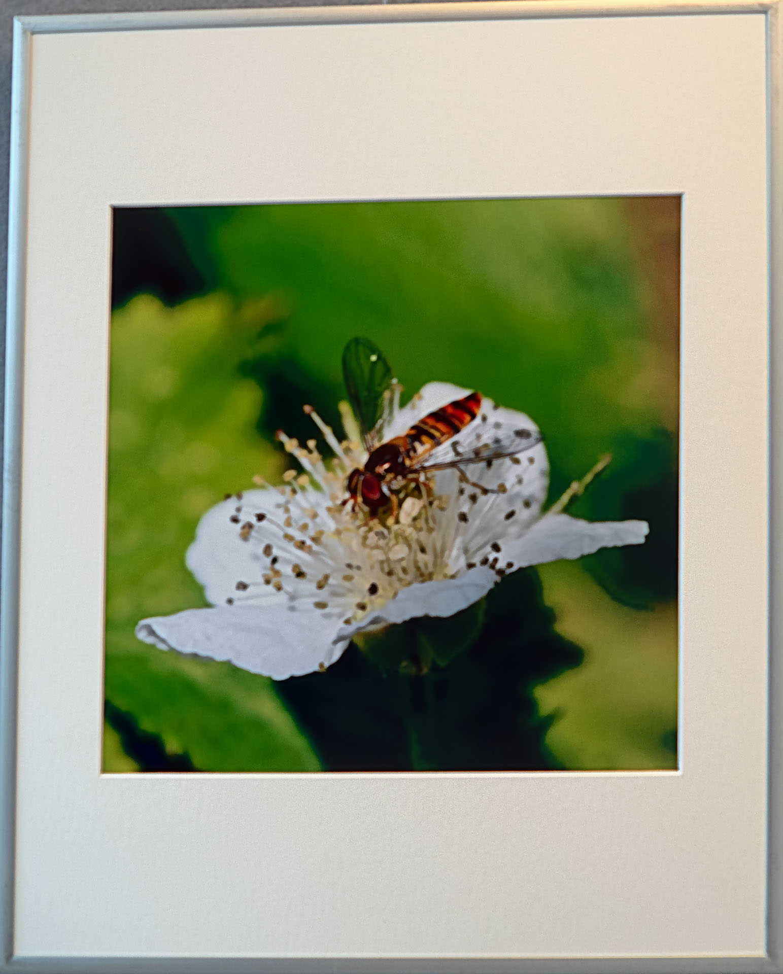  Ausstellung im Matthias Claudius Zentrum Oer-Erkenschwick 2021