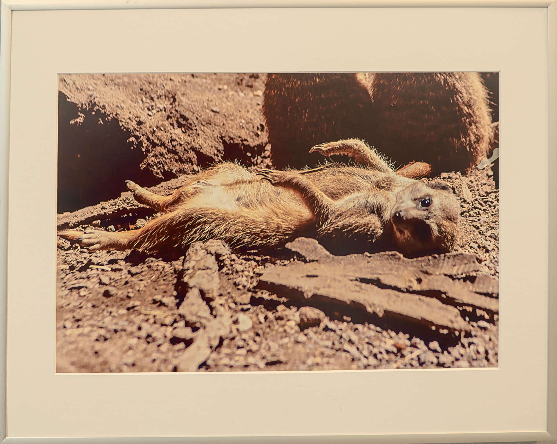  Ausstellung im Matthias Claudius Zentrum Oer-Erkenschwick 2021