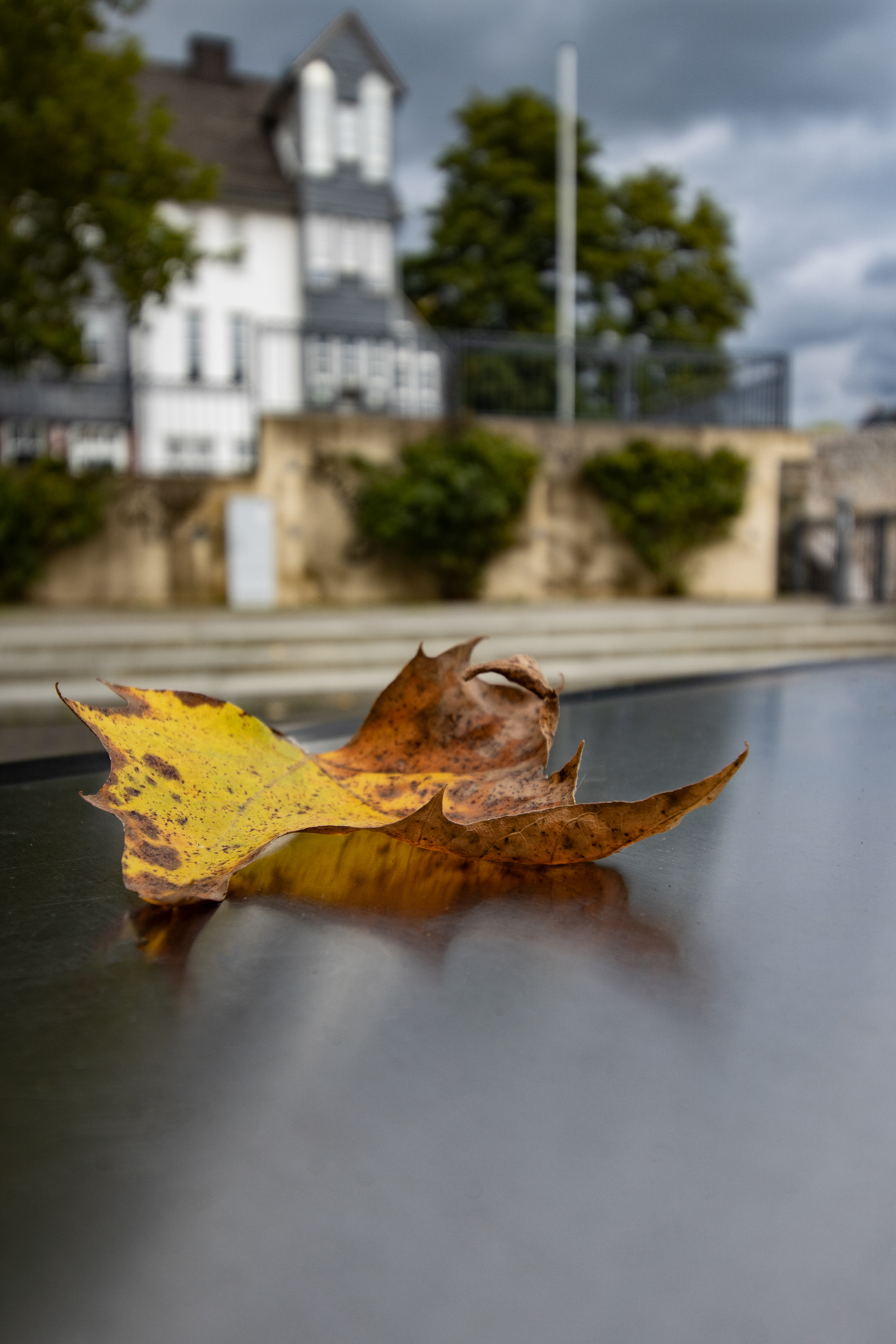 Heike Materok Blatt