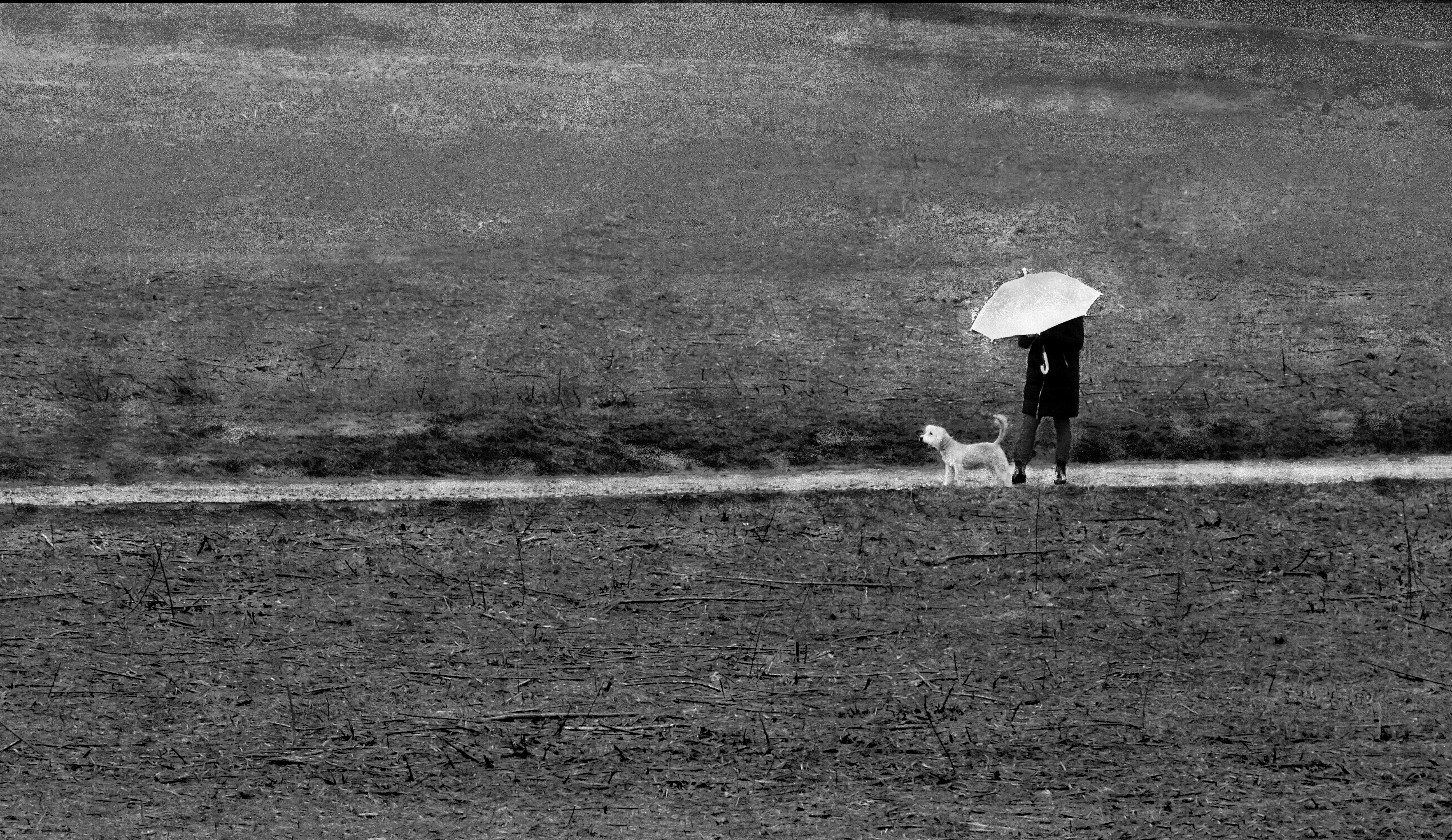 Spaziergang im Regen Rita Timm  Annahme 