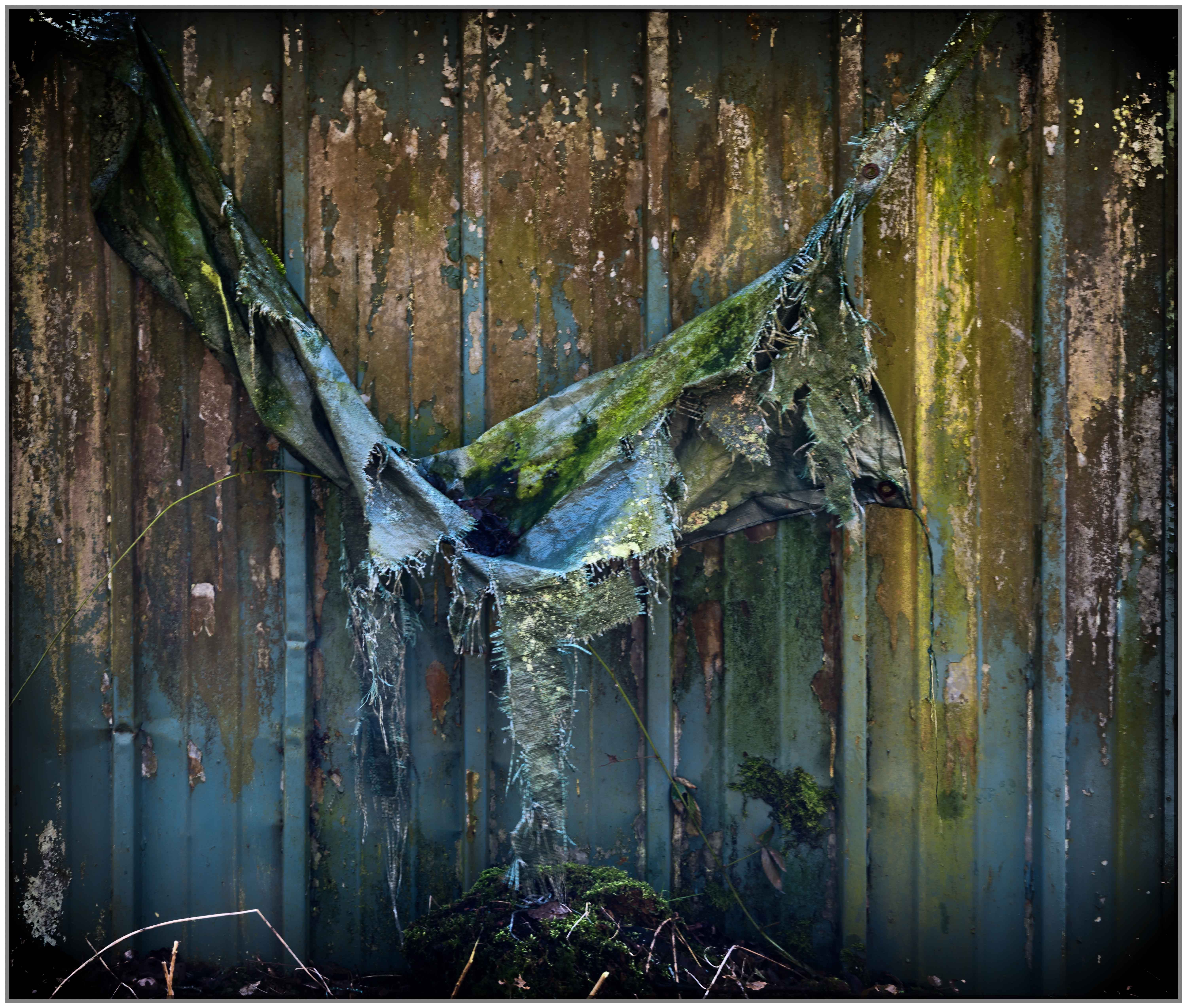 Klaus_Poell COLOR projects Annahme
