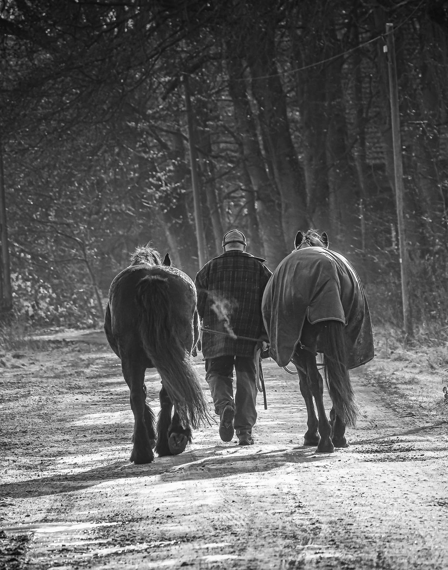 Gerd Bröker man with two horses Annahme