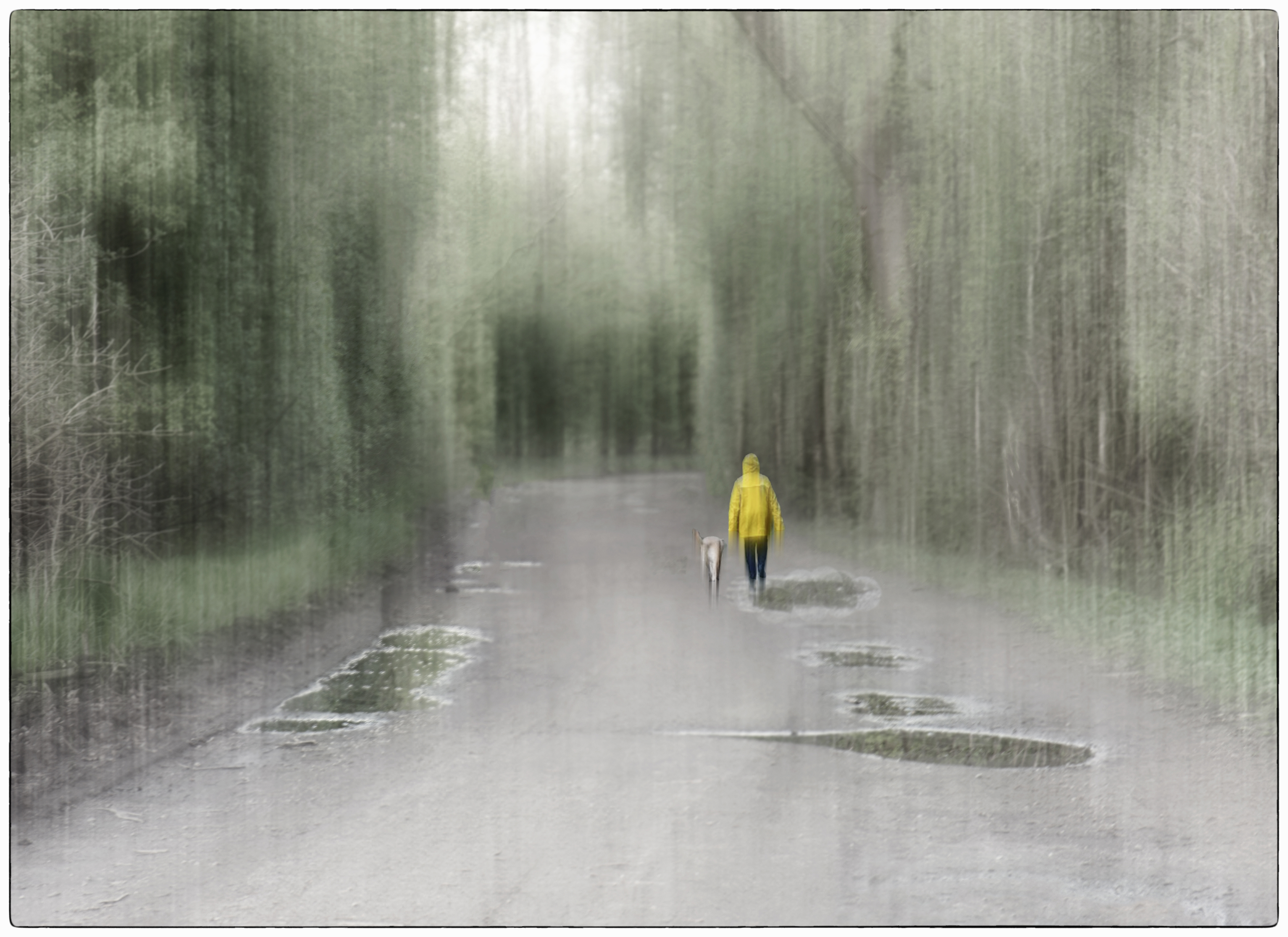 Spaziergang nach dem Regen Rita Timm 2. Platz